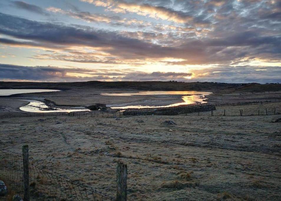 Squealing Pig Bothy Barvas