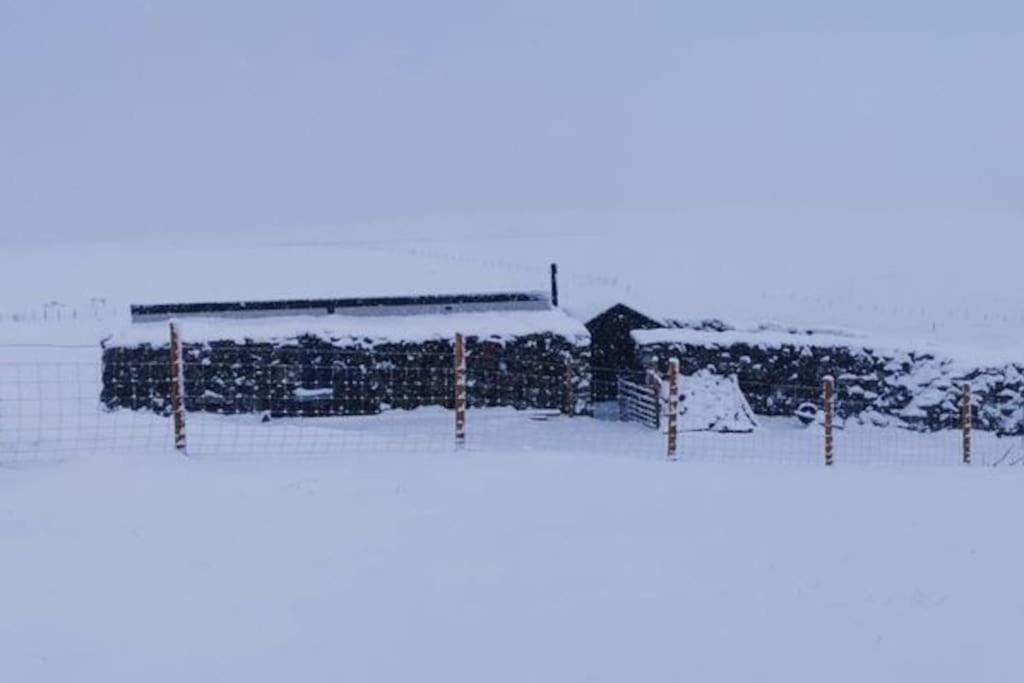 Squealing Pig Bothy Holiday home Barvas