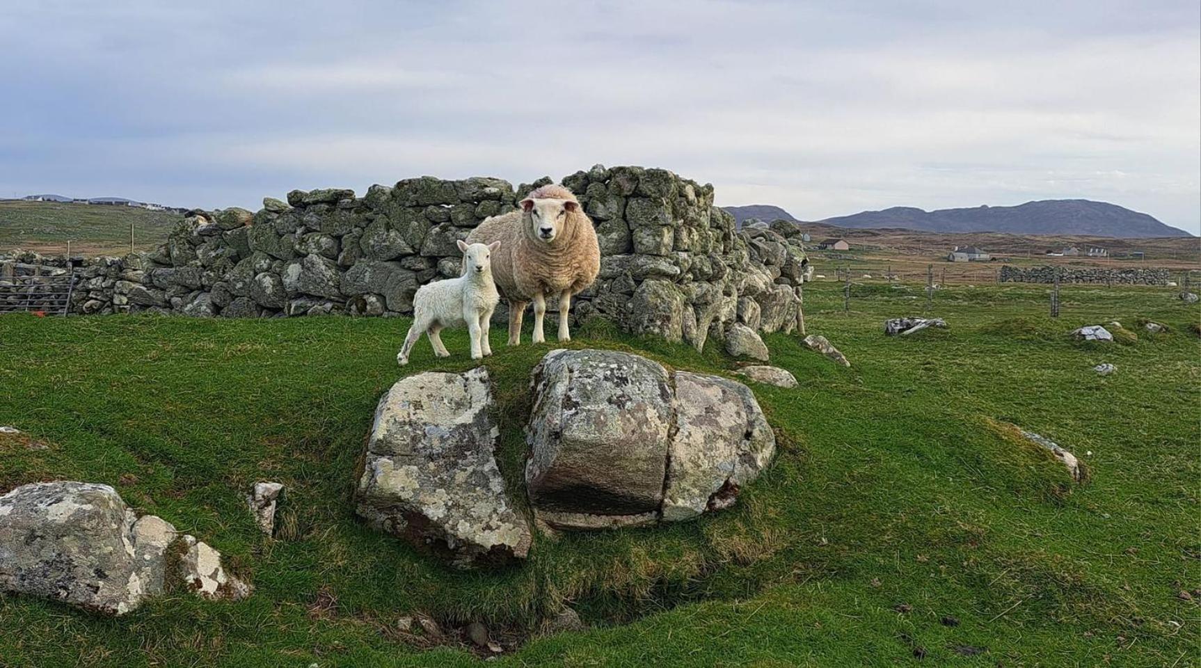 Squealing Pig Bothy Holiday home Barvas