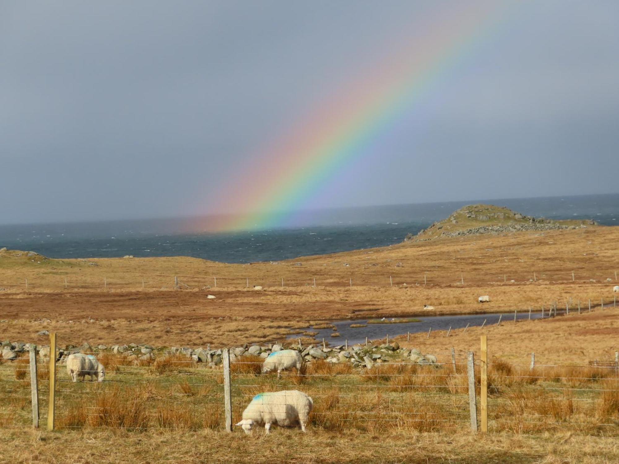 Squealing Pig Bothy Holiday home
