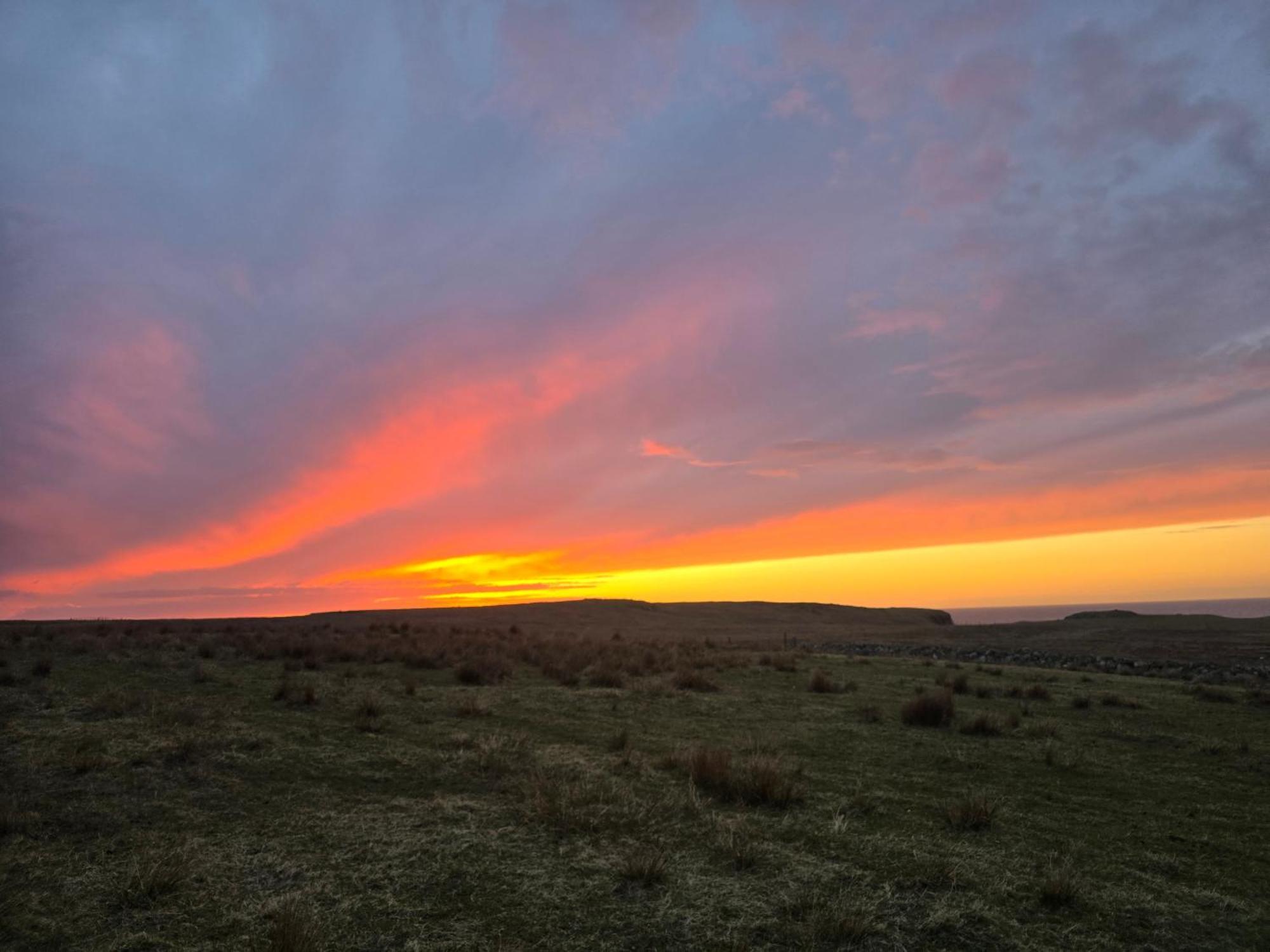 Squealing Pig Bothy * Barvas