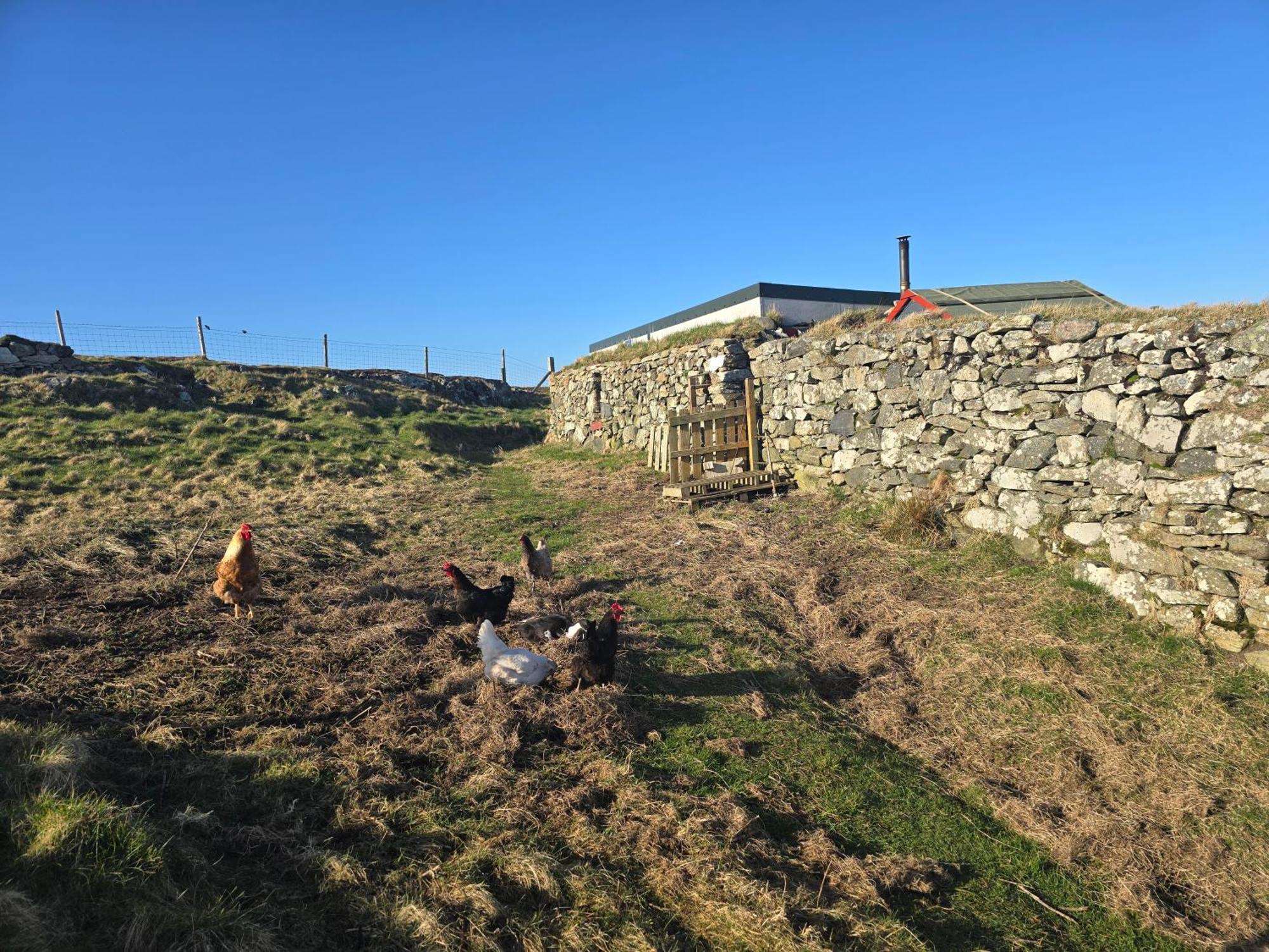 Squealing Pig Bothy
