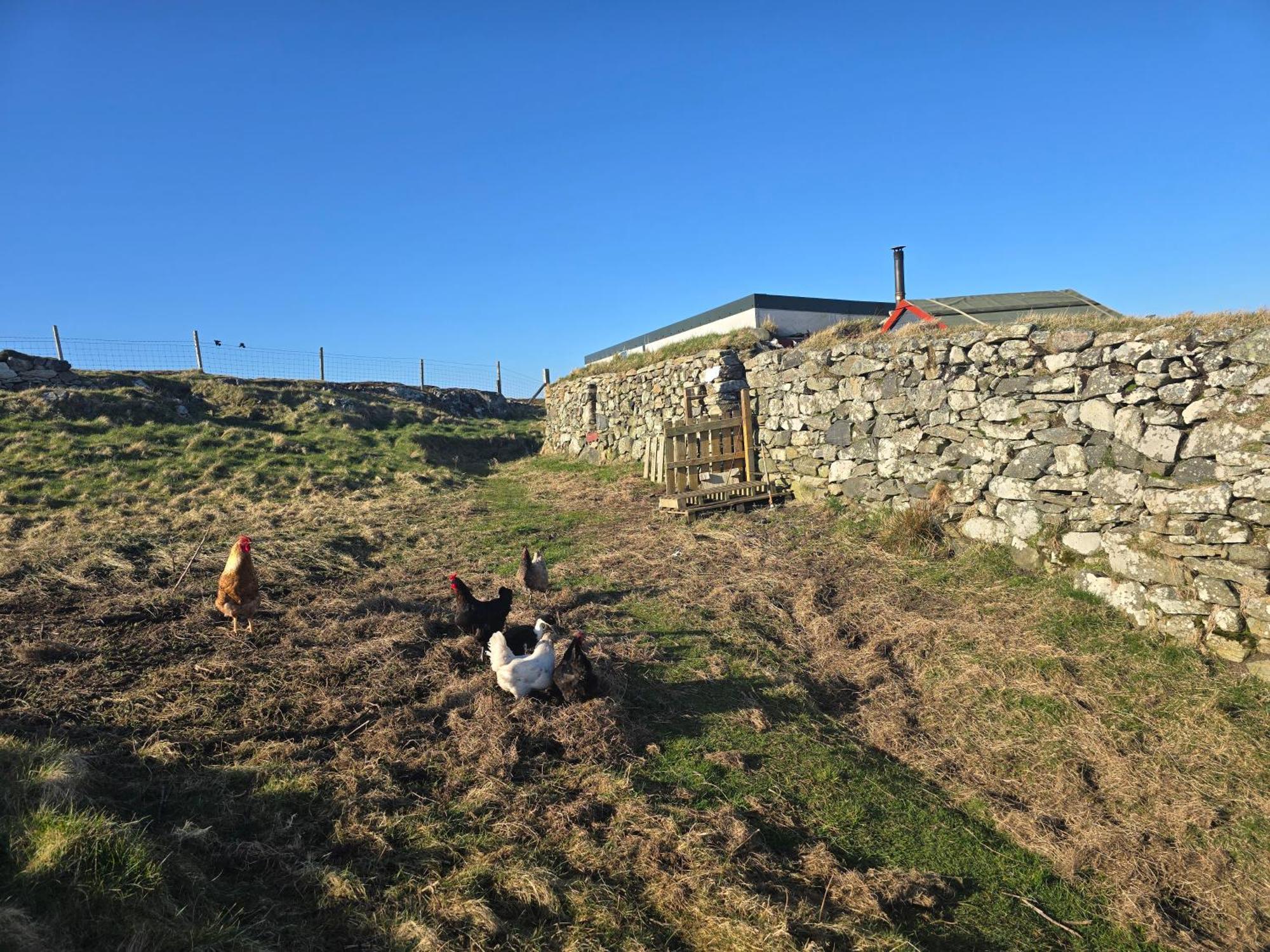 Squealing Pig Bothy Holiday home Barvas