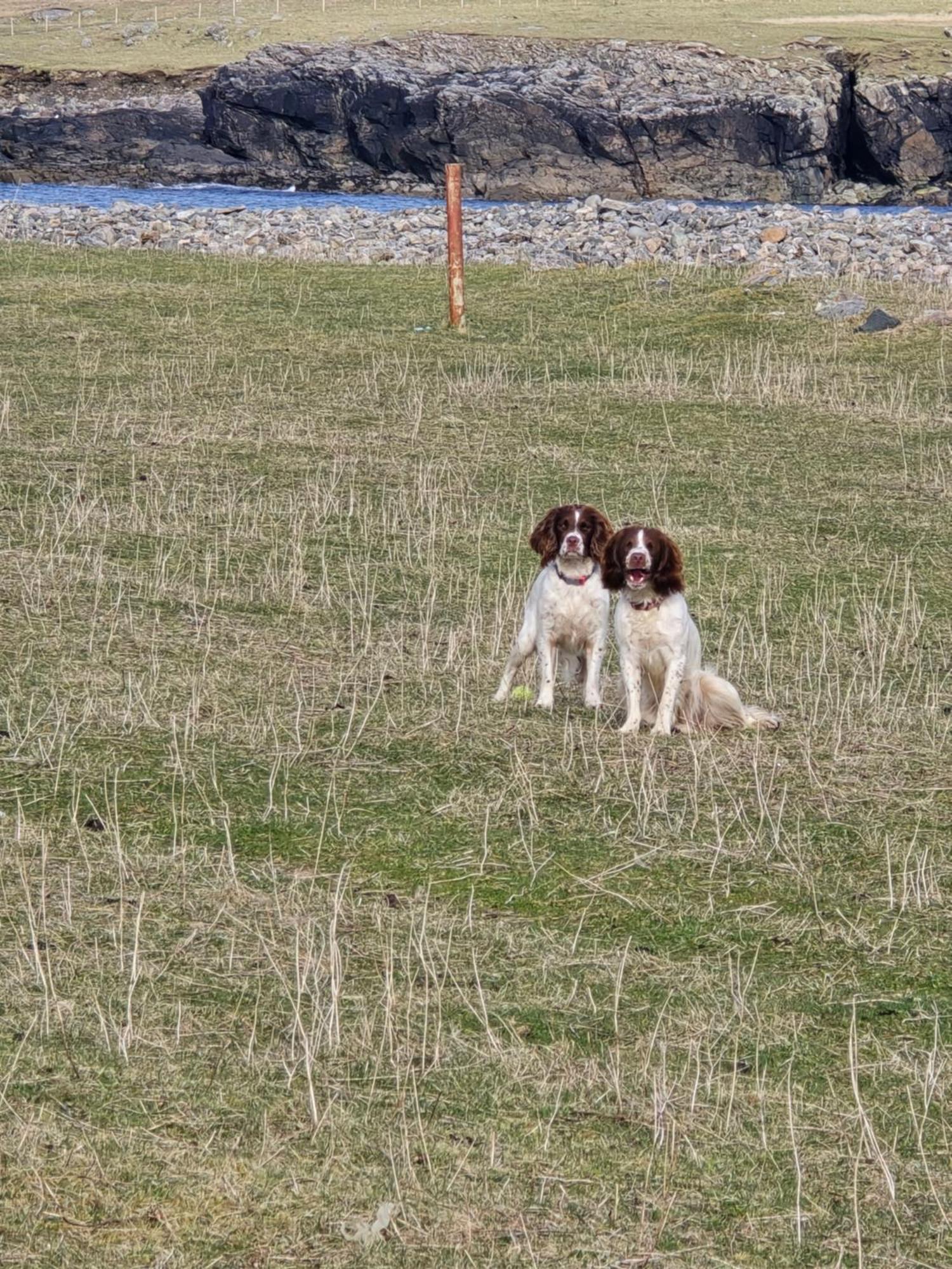 Squealing Pig Bothy Holiday home Barvas