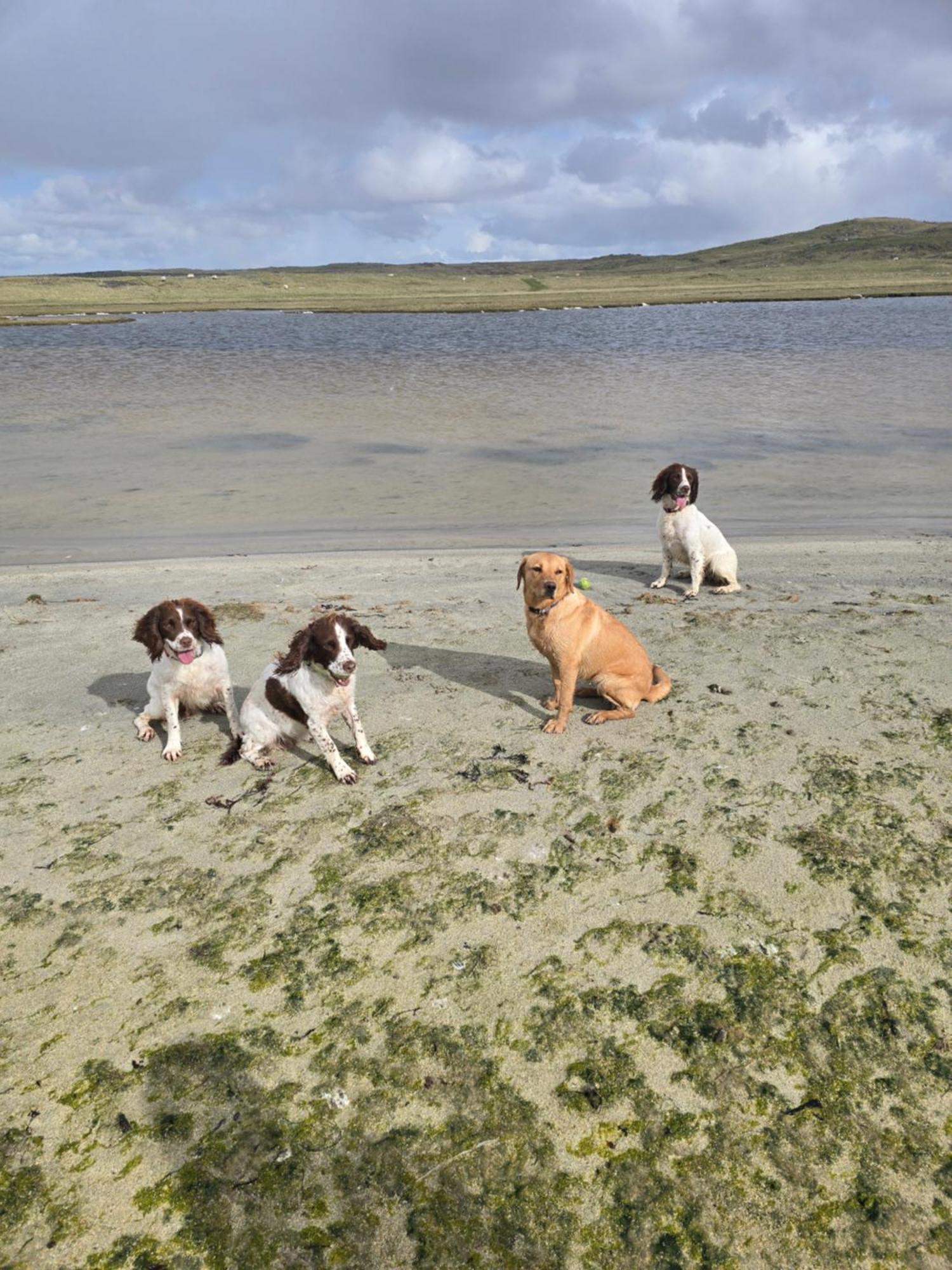 Squealing Pig Bothy Holiday home Barvas